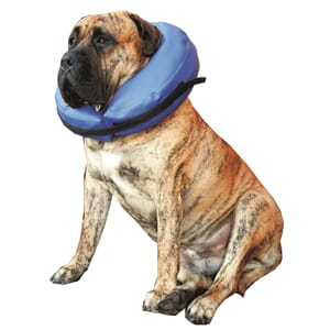 Trine Beskyttelses krave st. L (EU PRODUSERT)