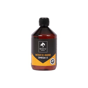 Wovv E-Shine 500 ml
