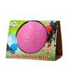 Jolly Soccer Ball 20cm Rosa