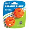 Chuckit! Breathe Right Fetch Ball Medium 2pk