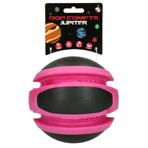 Dog Comets Planets Rosa