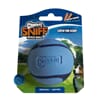Chuckit! Sniff Fetch Ball
