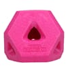 Dog Comets Treat Lock Cube
